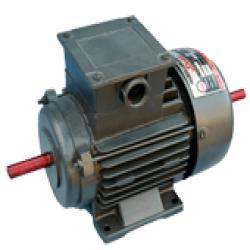 AC Squirrel Cage Induction Motor