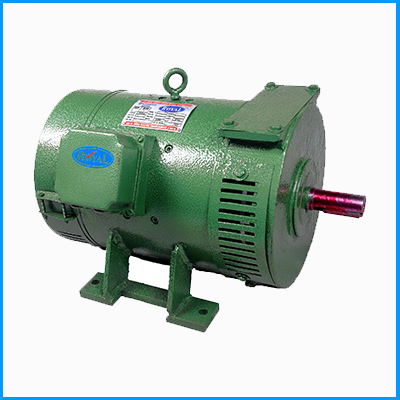 DC MOTOR ( Without Blower )